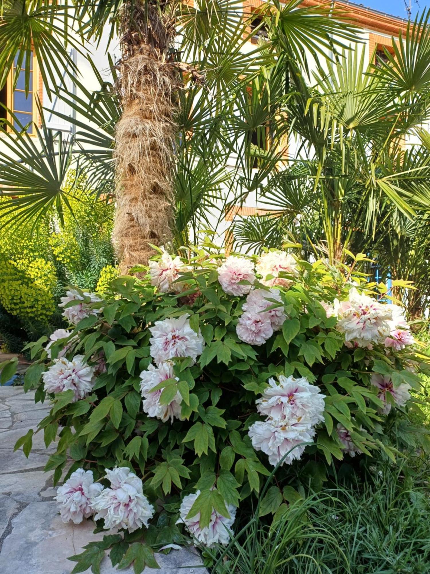 ホテル Le Relais De Lezat エクステリア 写真